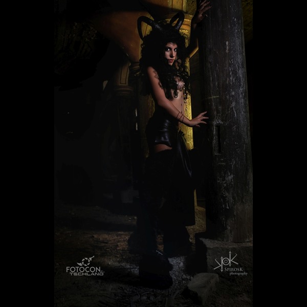 Ailiroy's Succubus