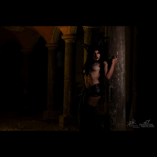 Ailiroy's Succubus