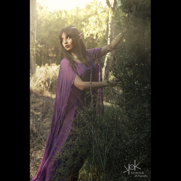 Wood Elf - Lady of the Sword