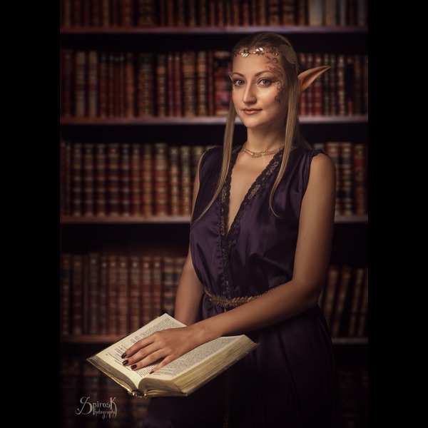 High-Elf Scholar