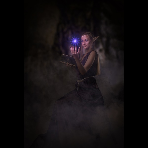 High-Elf Scholar