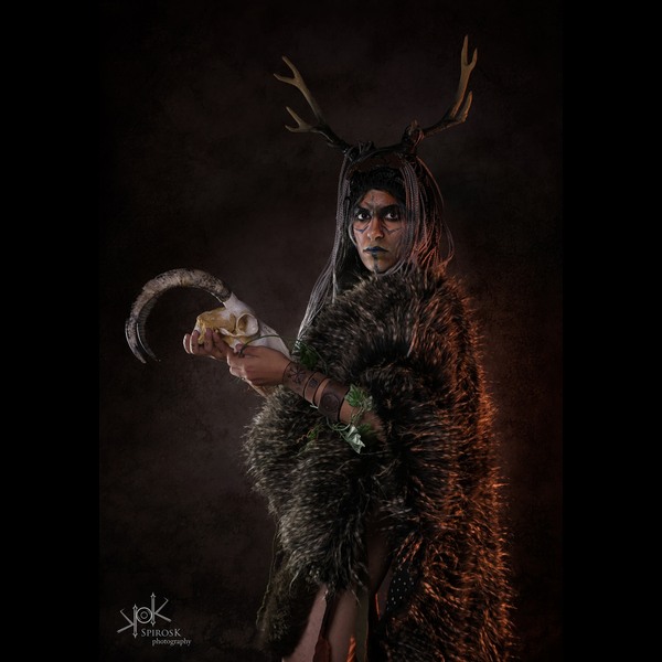 The Viking Witch