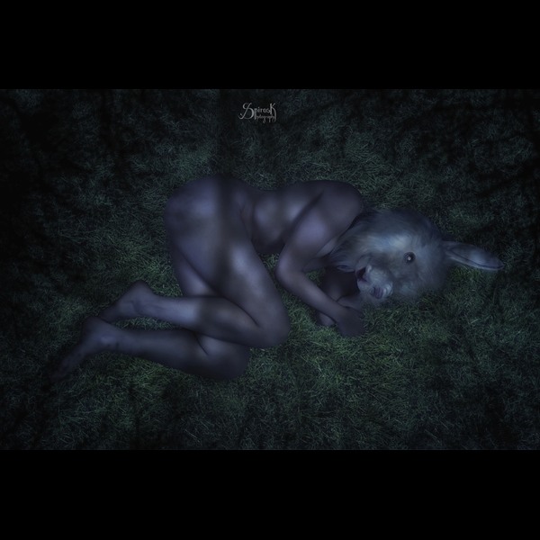 Nude Bunny